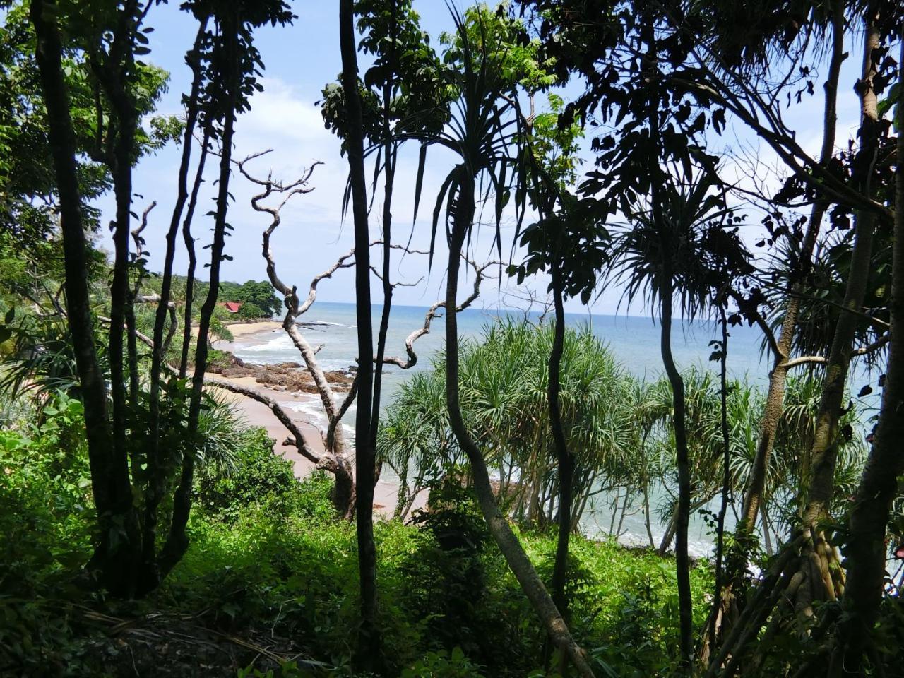 The Narima - Sha Plus Ko Lanta Zewnętrze zdjęcie